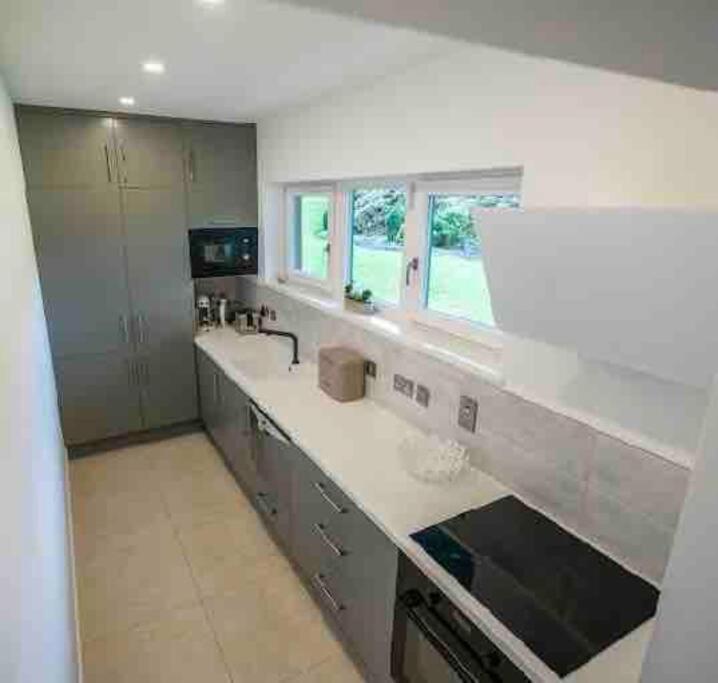 Beautiful Garden Apartment With Private Patio And Garden View Dublin Exterior foto